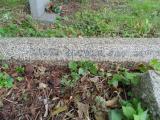 image of grave number 520138